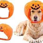 This headpiece that turns your dog’s face into a jack-o'-lantern: Ypser Halloween Pumpkin Headpiece