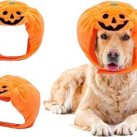 can dog eat pumpkin skin