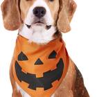 This simple pumpkin bandana that dogs won’t mind wearing: PEDOMUS Halloween Dog Bandana