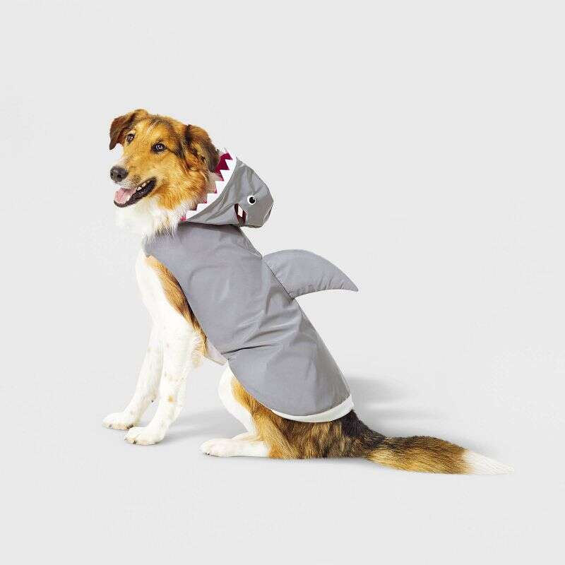 Shark costumes for sales dogs