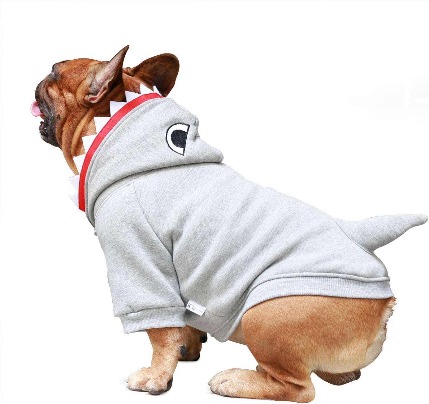 Shark dog clearance outfit