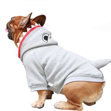 A cozy hoodie that doubles as a shark costume: iChoue Shark Dog Hoodie