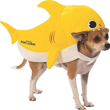 An officially licensed “Baby Shark” costume for your dog: Rubie's Baby Shark Pet Costume