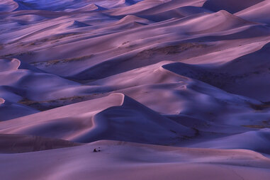 purple dunes