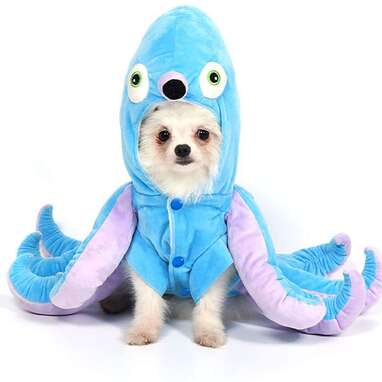 If your pup loves playing in the ocean: Mogoko Dog Octopus Costume