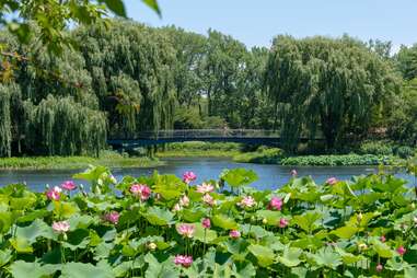 Chicago Botanic Garden