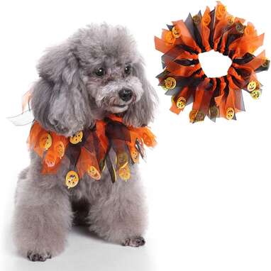 For the pup who’s not crazy for costumes: Yunison Fancy Halloween Pet Collar