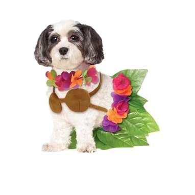 For everyone who loves a tropical vacation: Hula Girl Pet Costume