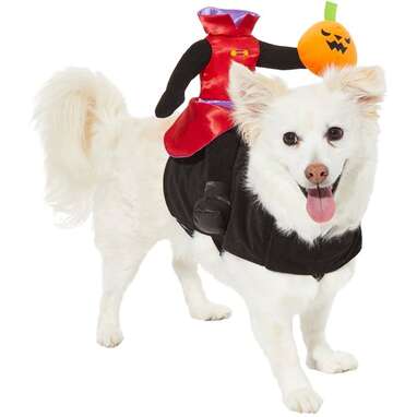 A classic Halloween story your pup will love: Frisco Headless Rider Dog Costume