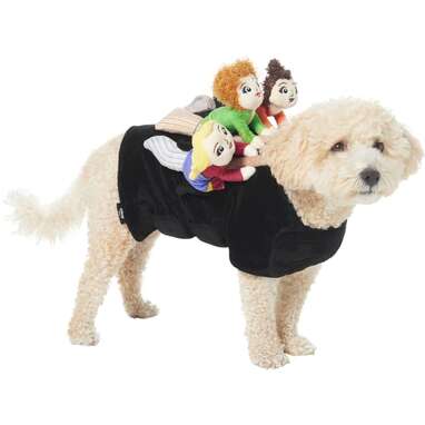 Perfect for fans of the Sanderson sisters: Disney Hocus Pocus Ride-On Sanderson Sisters Dog Costume