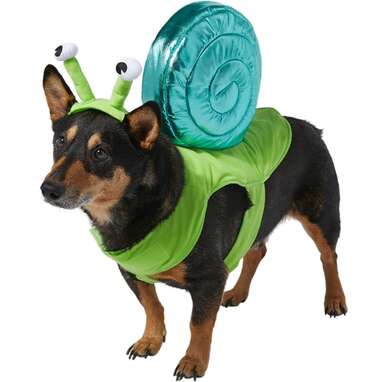 For pups who like to take their time: Frisco Snail Dog & Cat Costume