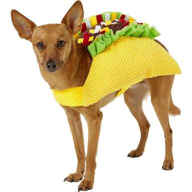 Who loves Mexican food? This pup: Frisco Taco Dog Costume