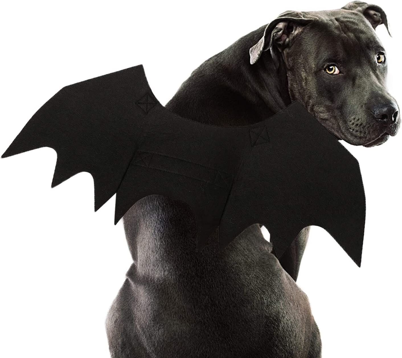 Find Boxer Halloween Costumes for your Big Dog - ItsaBoxerDogsLife