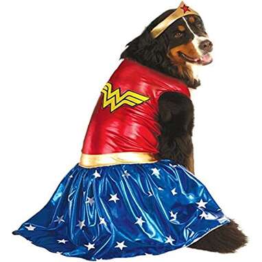 She’ll save the world in this costume: Rubie's DC Comics Wonder Woman Pet Costume