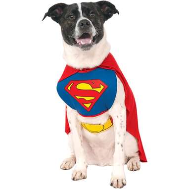 And he’ll save the world in this one: DC Comics Superman Cape With Chest Piece Pet Costume