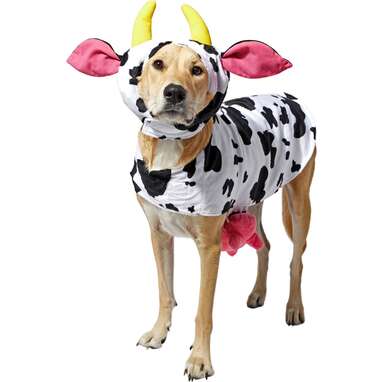 Large Dog Costumes: 13 Awesome Halloween Costumes Your Big Boy Or