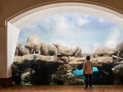 California Academy of Sciences