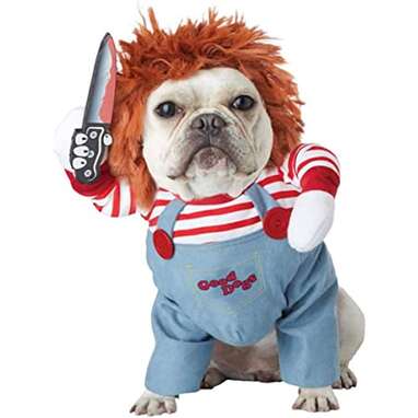 This Chucky costume that looks like the real thing: Deadly Doll Dog Costume