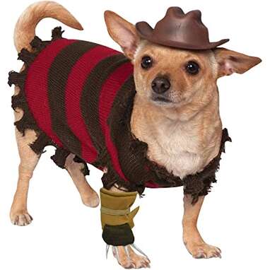 This Freddy Krueger Costume that’ll give you the most adorable nightmares: Rubie's A Nightmare on Elm Street Freddy Krueger Pet Costume
