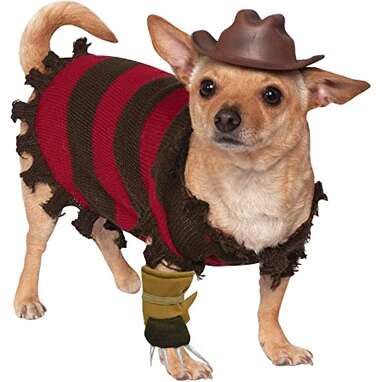 The Best Scary Halloween Costumes For Dogs, Ranked