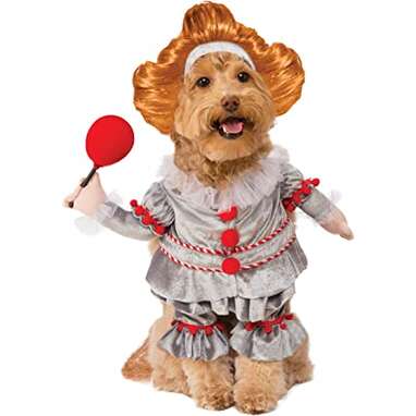 Scary Dog Costumes  The 12 Scariest Options for Your Spooky Pooch