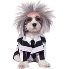This Beetlejuice costume that’s creepy and cute at the same time: Rubie's Beetlejuice Pet Costume