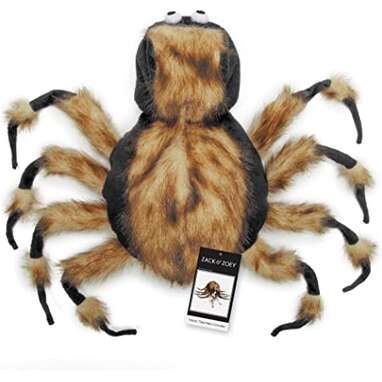  This costume that will transform your pup into a terrifying tarantula: Zack & Zoey Fuzzy Tarantula Costume