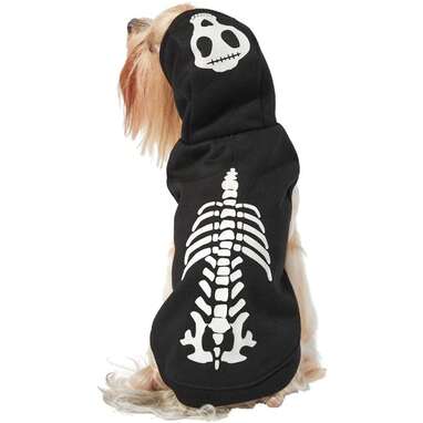 This skeleton look for pups who don’t love elaborate costumes: Frisco Glow in the Dark Skeleton Hoodie