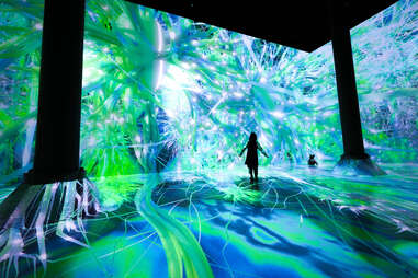 “Life of a Neuron” at Artechouse