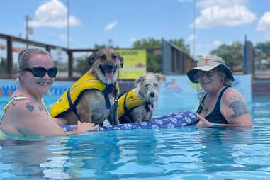 K9 Water World