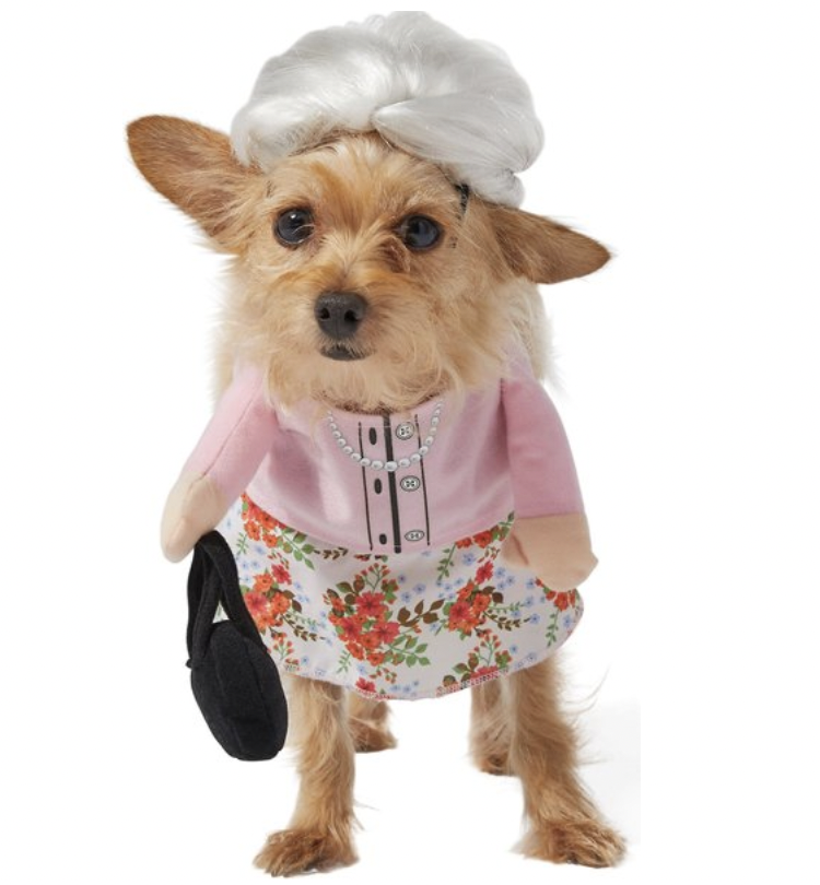 Pet costumes for small dogs sale