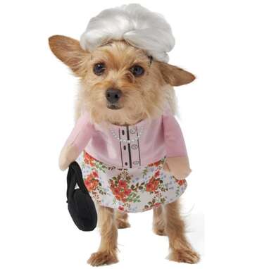 Disney for Pets Hocus Pocus Mary Sanderson Costume For Dogs, Small