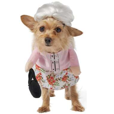 Walking costumes hot sale for dogs