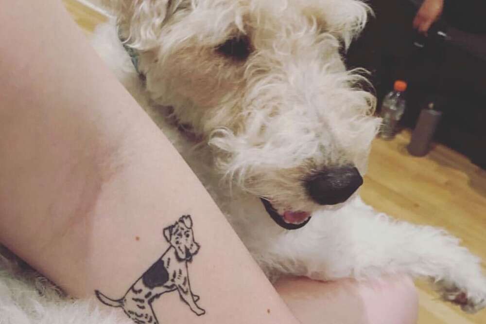 what is a tattoo on a dog