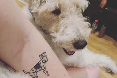 can you tattoo your dog