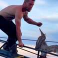 Guy At Sea Saves A Seagull