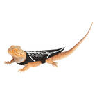 Keep it simple: Thrills and Chills Reptile Skeleton Costume