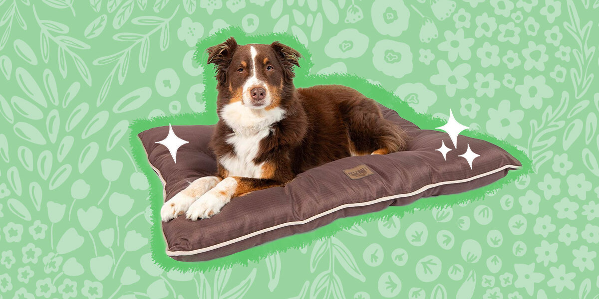 Outdoor Dog Bed - 37x24 Roll-up Travel Bed with Memory Foam and