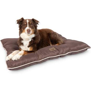 Warm outdoor dog store beds