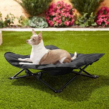 Best runner-up outdoor dog bed: HDP Padded Napper Elevated Bed