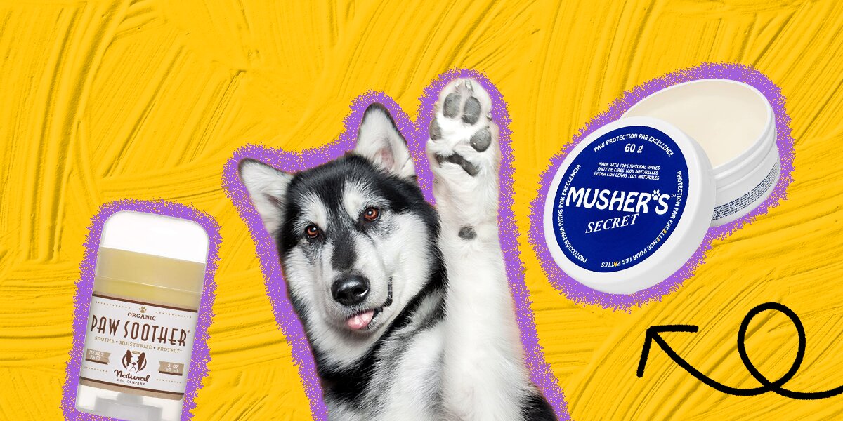 Dog Paw Balm: The Best Options To Soothe, Nourish And Protect