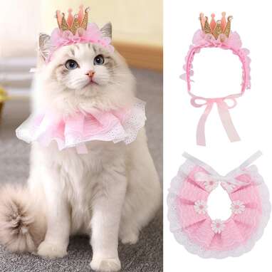 A Halloween costume fit for a queen: Legendog Princess Cat Costumes for Cats