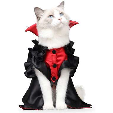 The perfect pairing to your cat’s fangs: Hipetime Halloween Cat Vampire Costume