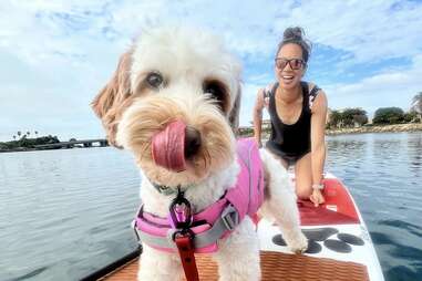 SUP Pups