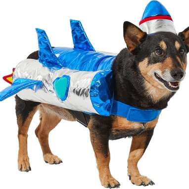 The perfect costume for pets who constantly get the zoomies: Frisco Rocket Ship Dog & Cat Costume