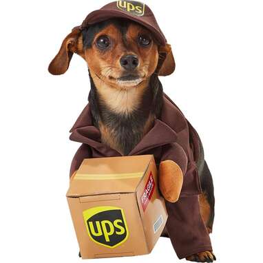 For pets who love having a job: California Costumes UPS Delivery Driver Dog & Cat Costume