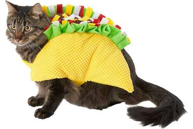 If your pet loves to eat: Frisco Taco Dog & Cat Costume