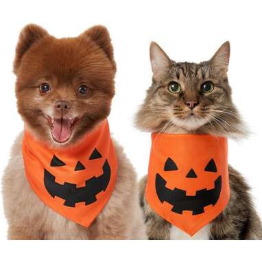 Stick to the classic: Frisco Jack O’ Lantern Pumpkin Dog & Cat Bandana