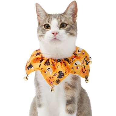 Something simple yet sweet: Frisco Whimsical Halloween Cat Collar Ruffle