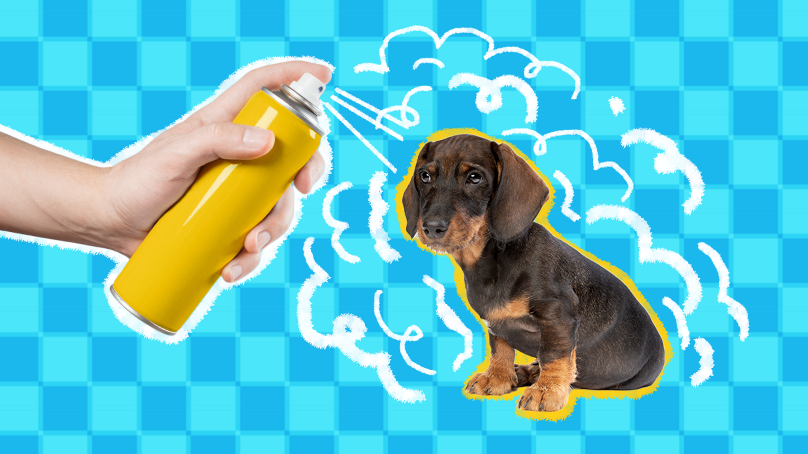 Bug Spray For Dogs The Best PetSafe Formulas To Keep Insects At Bay